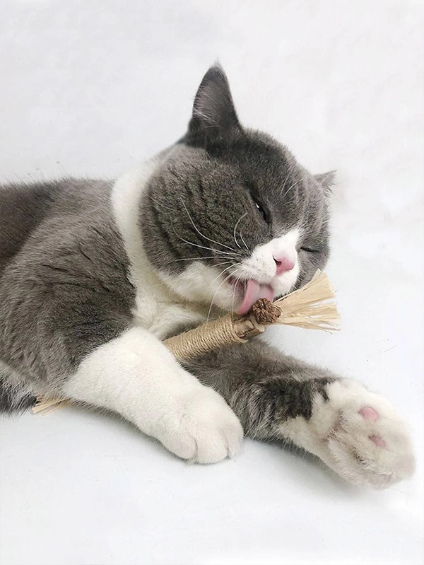Дървена дентална играчка за котки