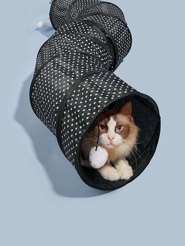 Котешки тунел на точки