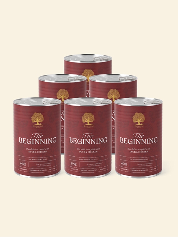 Мокра храна за кученца Essential the Beginning pâté 6 х 400g