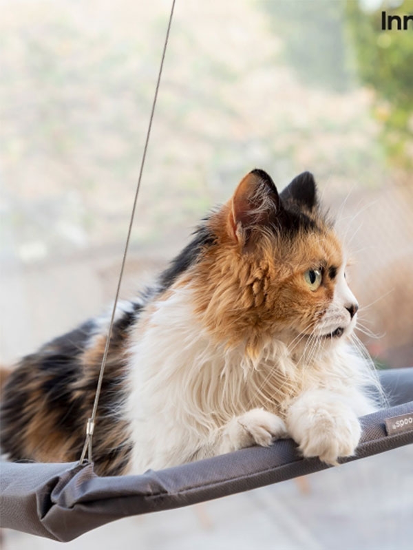 ВИСЯЩ ХАМАК ЗА КОТКИ CATLAX INNOVAGOODS