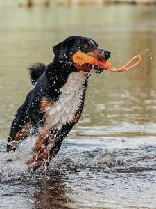 Гумена кучешка играчка за вода HUNTER Aqua Avio Bone