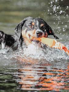 Гумена кучешка играчка за вода HUNTER Aqua Avio Bone