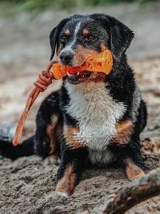 Гумена кучешка играчка за вода HUNTER Aqua Avio Bone
