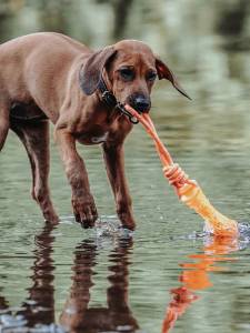 Гумена кучешка играчка за вода HUNTER Aqua Avio Bone