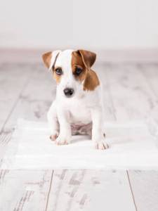 Хигиенни подложки Puppies 10 броя