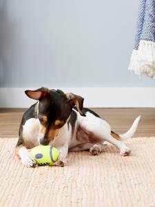 Играчка за кучета ръгби топка KONG® AirDog® Squeaker Football