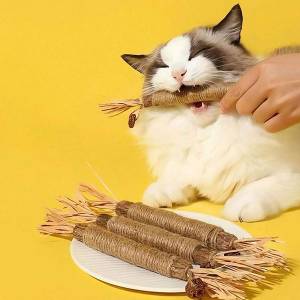 Интерактивна играчка за котки – почистване на зъби и забавление у дома