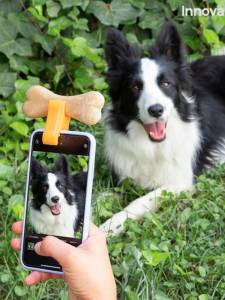 КЛИПС ЗА ИДЕАЛНИ СНИМКИ НА ДОМАШНИ ЛЮБИМЦИ PEFIE INNOVAGOODS