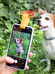 КЛИПС ЗА ИДЕАЛНИ СНИМКИ НА ДОМАШНИ ЛЮБИМЦИ PEFIE INNOVAGOODS