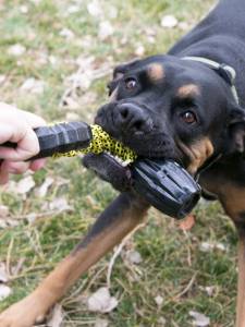 Кучешка играчка KONG® Jaxx™ Braided Tug