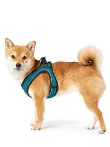 Кучешки нагръдник HUNTER Hilo Comfort тюркоаз