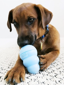 Лакомства с пиле и ориз за играчки KONG за малки кученца Reward KONG® Snacks™ Puppy