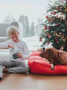Лакомства за кучета с говеждо и червено цвекло HUNTER Reward Lifestyle