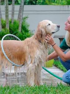 ОБРЪЧ ЗА КЪПАНЕ НА КУЧЕТА MY PET WASH A'HOOP