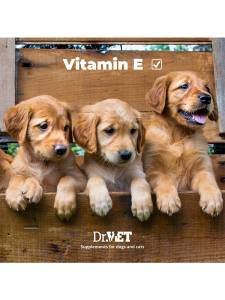 Reprovet Female – добавка за стимулиране на женската репродукция 100 / 500 т.