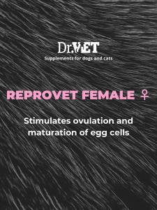 Reprovet Female – добавка за стимулиране на женската репродукция 100 / 500 т.