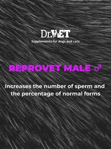 Reprovet Female – добавка за стимулиране на женската репродукция 100 / 500 т.