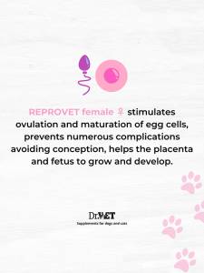 Reprovet Female – добавка за стимулиране на женската репродукция 100 / 500 т.