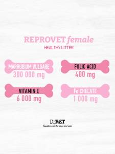 Reprovet Female – добавка за стимулиране на женската репродукция 100 / 500 т.