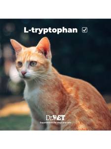 Stressvet – добавка за кучета и котки в стресови ситуации 100 т.