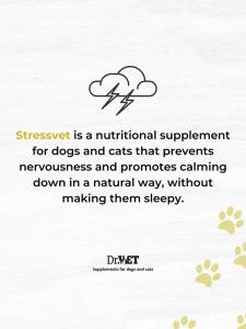 Stressvet – добавка за кучета и котки в стресови ситуации 100 т.