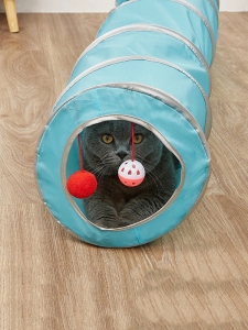 Тунел за котки с прозорче и висящи играчки