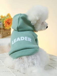 Зелен кучешки суичър с качулка и надпис Leader